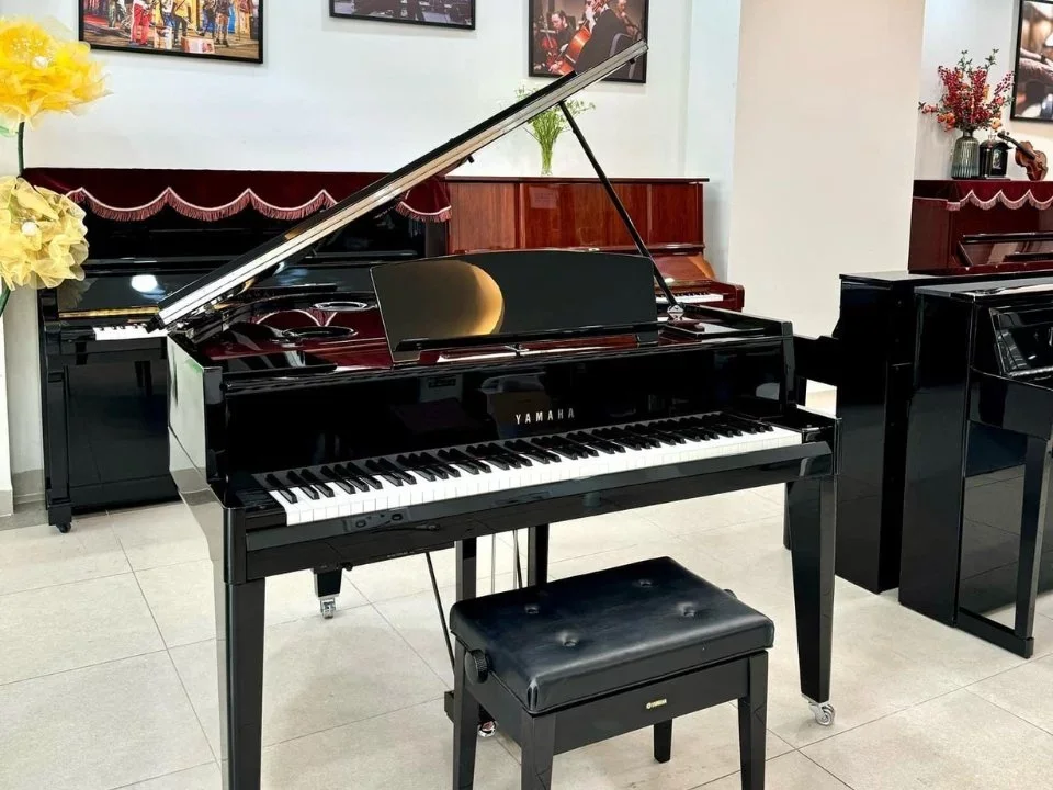 AVANT GRAND N3X (NEW) - Chi tiết 1