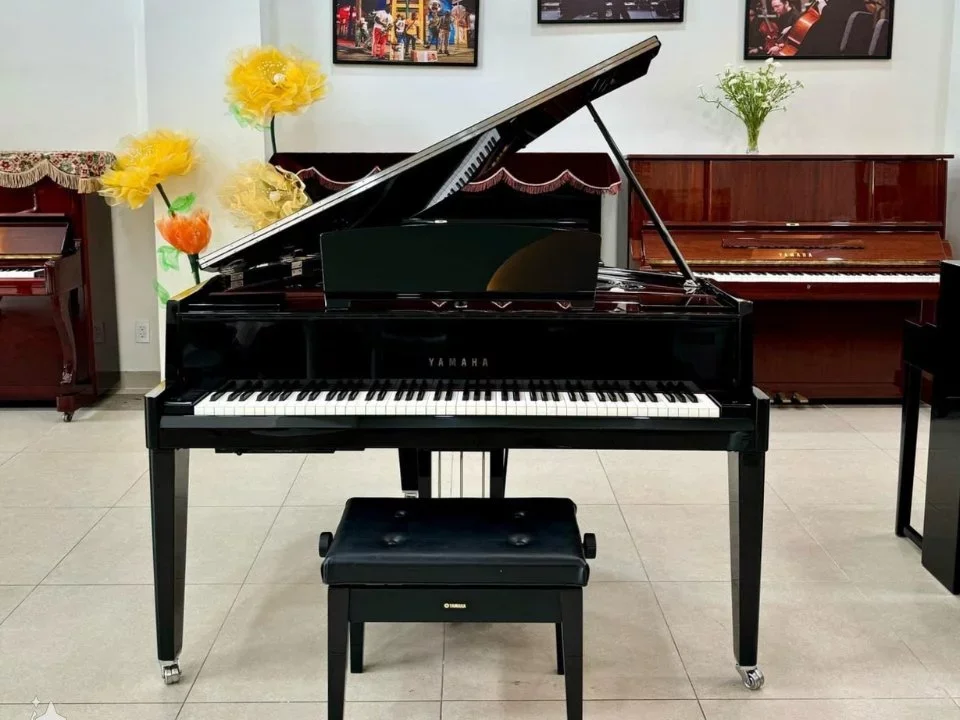 AVANT GRAND N3X (USED) - Chi tiết 1