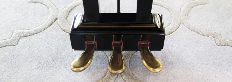 Baby Grand Piano: "Cậu Bé Khổng Lồ" Với Sức Mạnh Âm Thanh Vượt Kích Thước – Khám