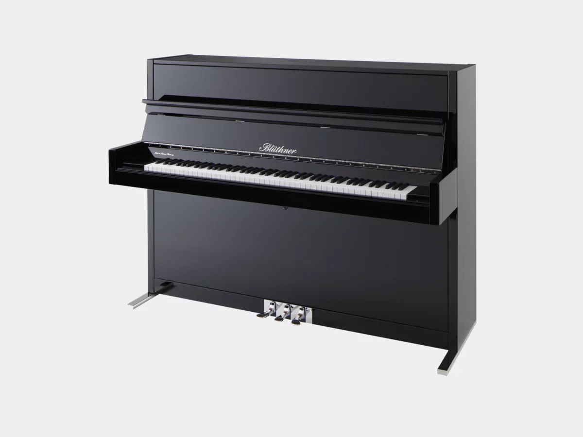 Blüthner Model D - Hình ảnh chính