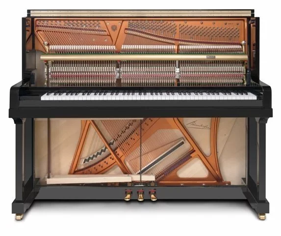 Bösendorfer 120 CL - Hình ảnh chính