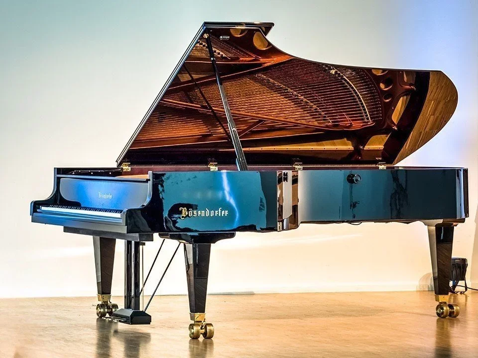 Bösendorfer 290 Imperial - Hình ảnh chính