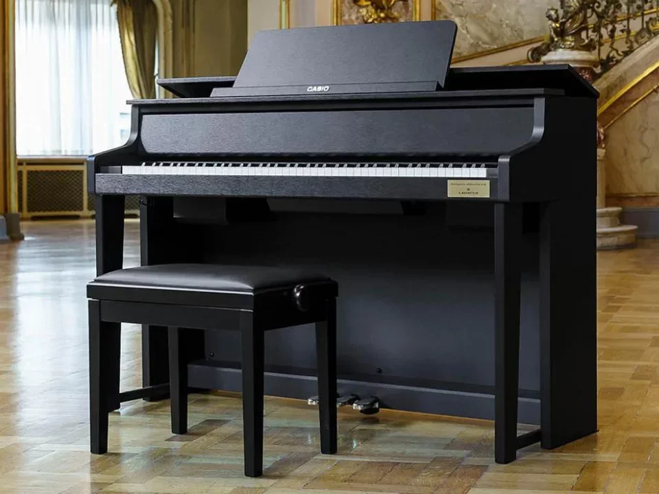 CASIO GP-310 BK (USED) - Hình ảnh chính
