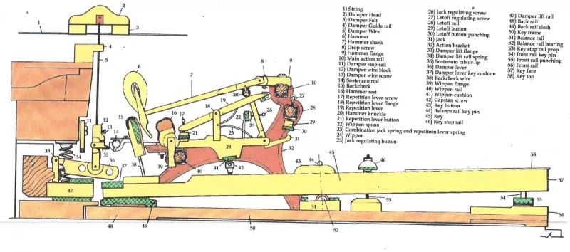 Cấu tạo piano