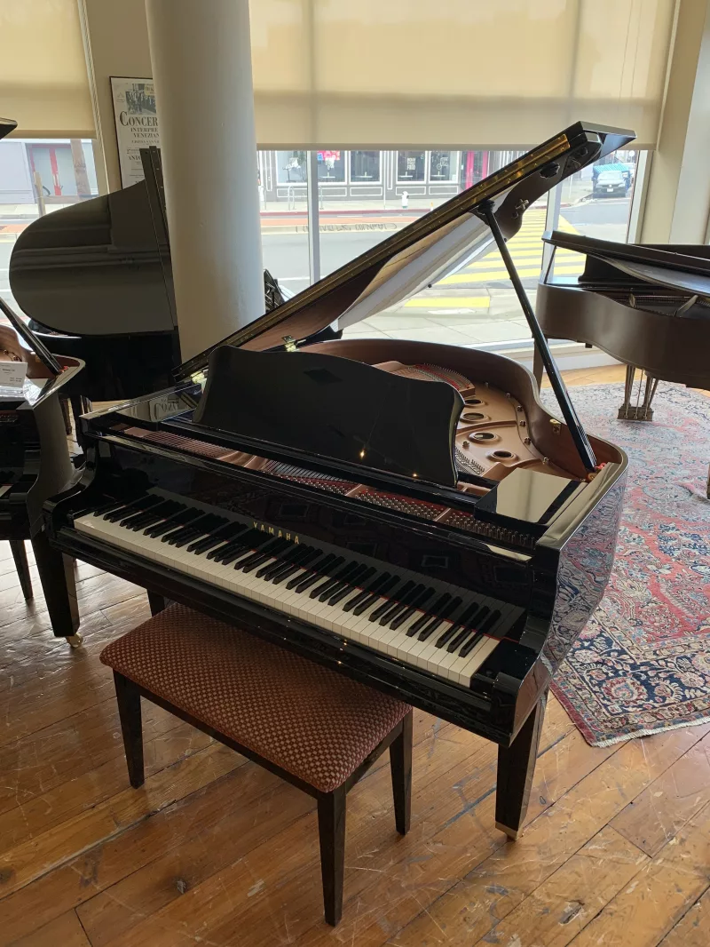 Giải mã Concert Grand Piano: Khi kiến trúc âm thanh gặp gỡ nghệ thuật chế tác đỉ