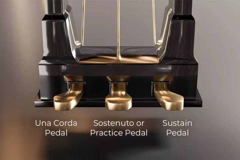 Sửa chữa đàn piano