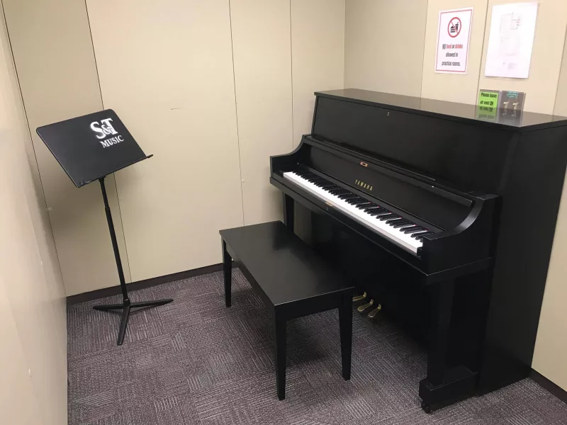 Luyện tập piano
