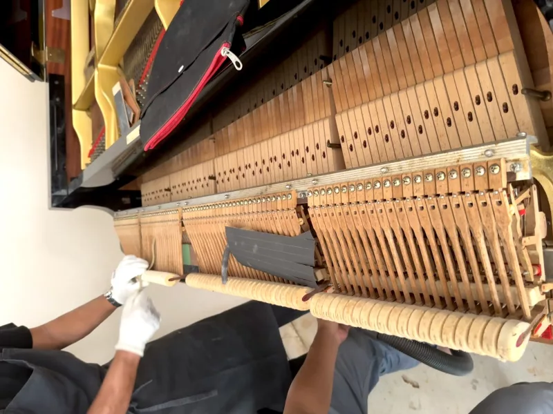 Phục Hồi "Linh Hồn" Piano: Nghệ Thuật Chỉnh Bàn Đạp Đảm Bảo Sự Nhạy Bén và Sắc T