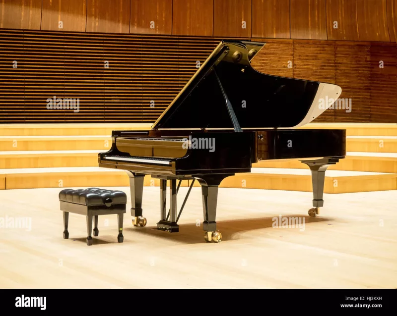 Thương hiệu piano uy tín tại Buôn Ma Thuột