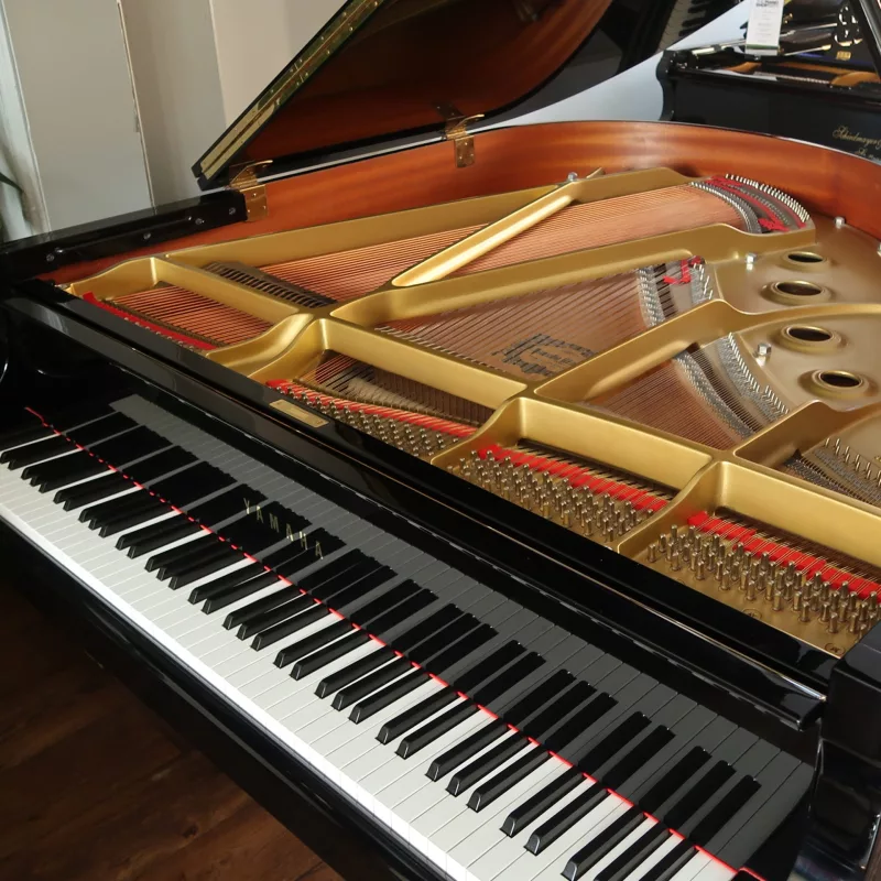 Grand Piano chính hãng tại Gia Lai