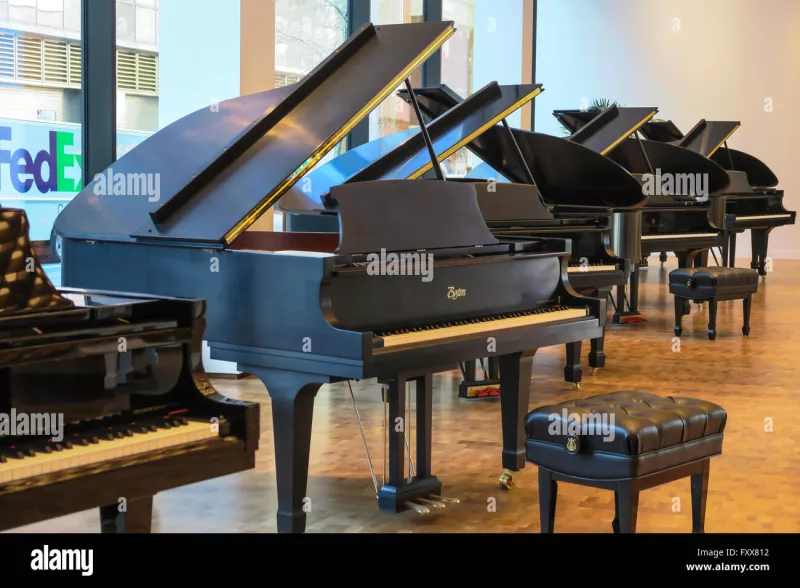 Thương hiệu piano uy tín tại Hà Tĩnh