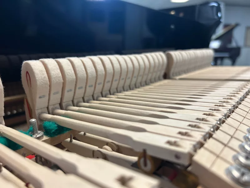 Chi tiết piano cao cấp tại Hậu Giang