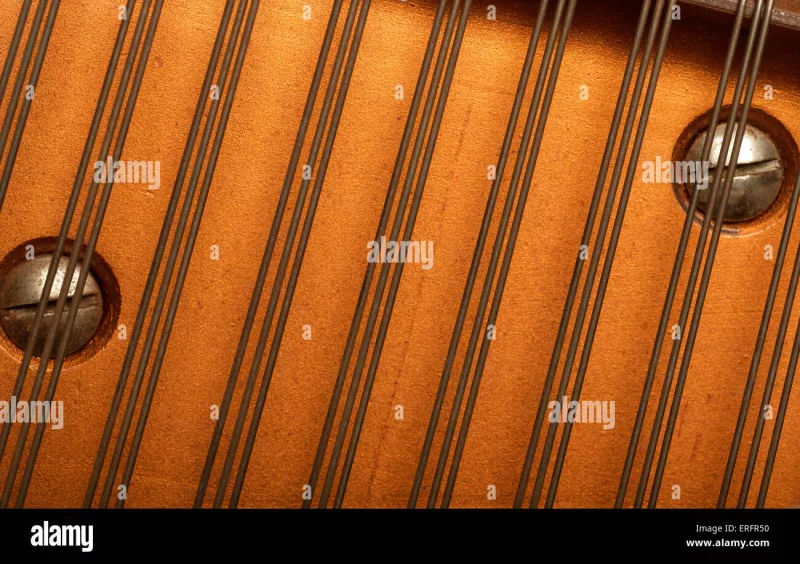 Chi tiết piano cao cấp tại Kiên Giang