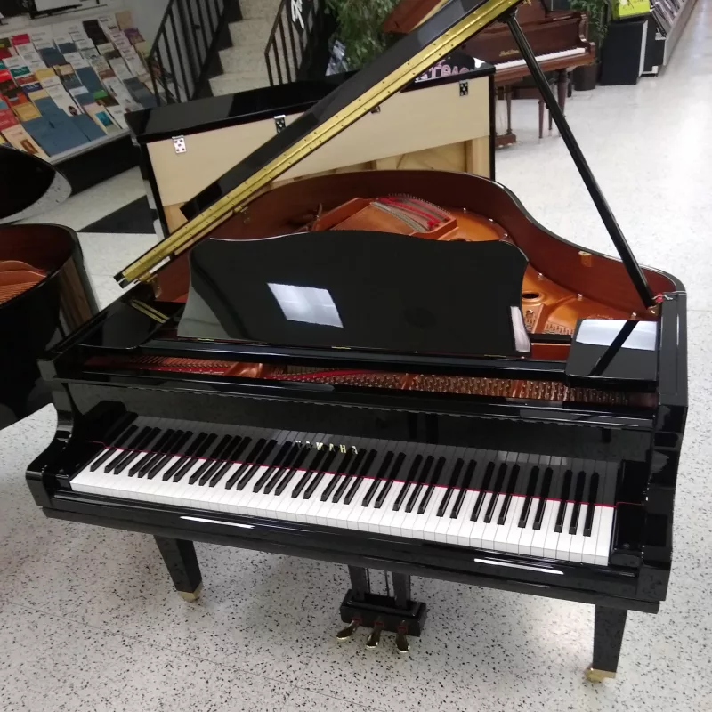 Grand Piano chính hãng tại Lạng Sơn