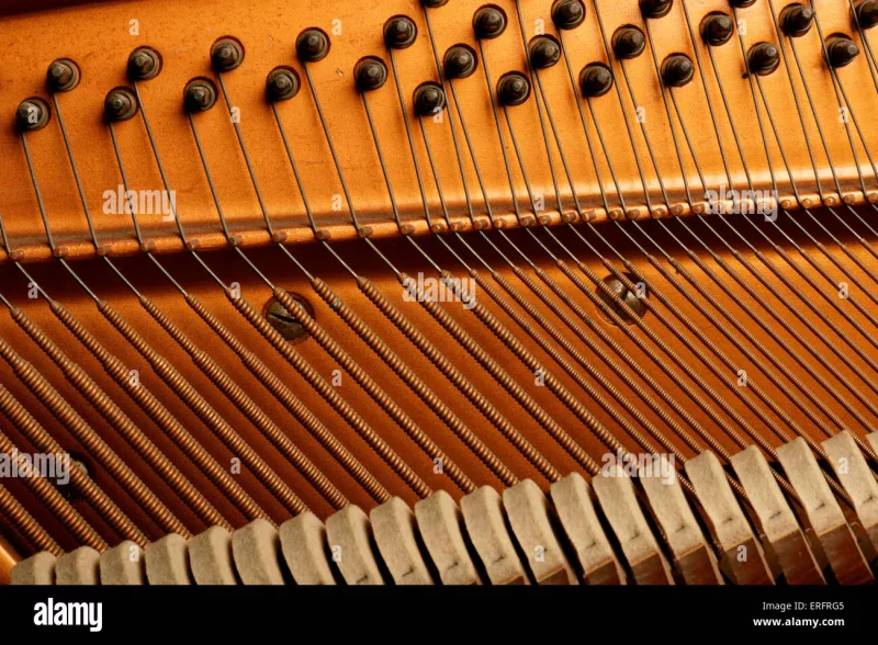 Chi tiết piano cao cấp tại Lào Cai