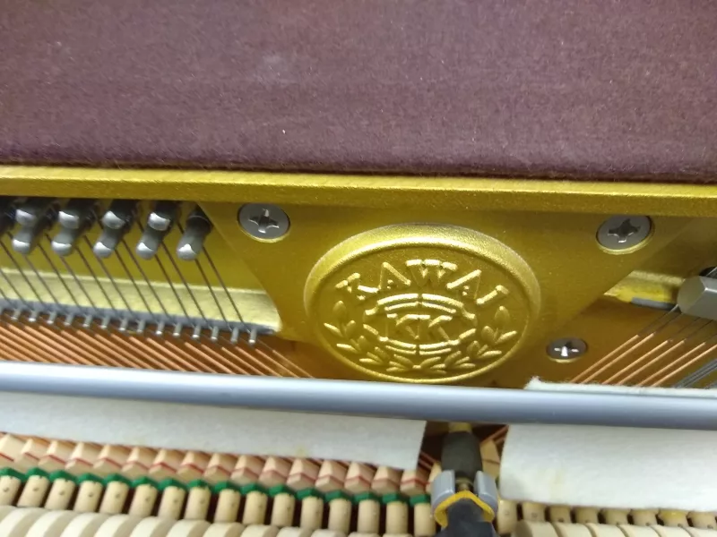 Thương hiệu piano uy tín tại Long An