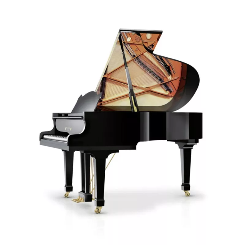 Grand Piano chính hãng tại Quảng Bình
