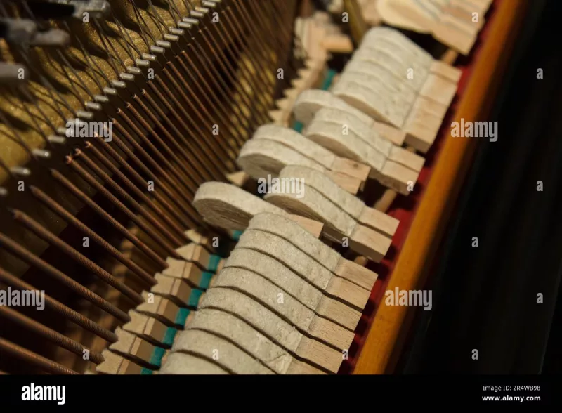 Chi tiết piano cao cấp tại Trà Vinh