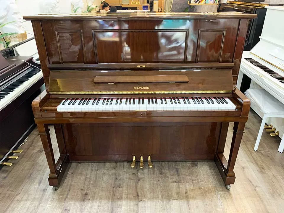 DIAPASON 132 BS - Hình ảnh chính