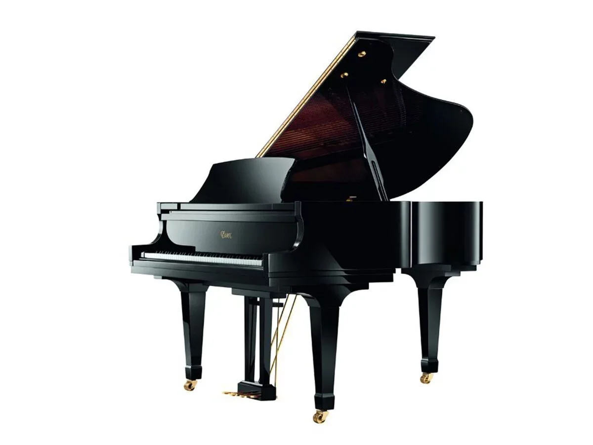 Essex EGP-173C - Hình ảnh chính