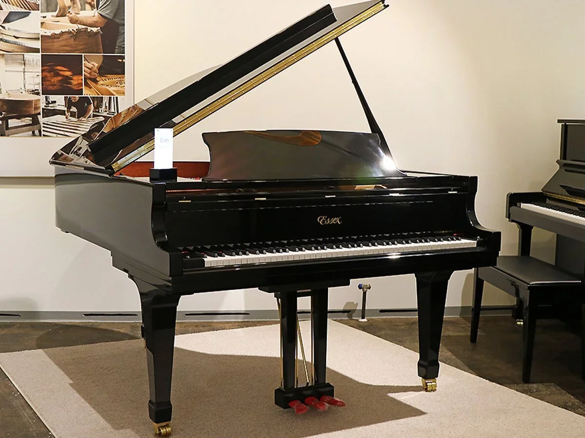 Essex EGP-173C - Chi tiết 2