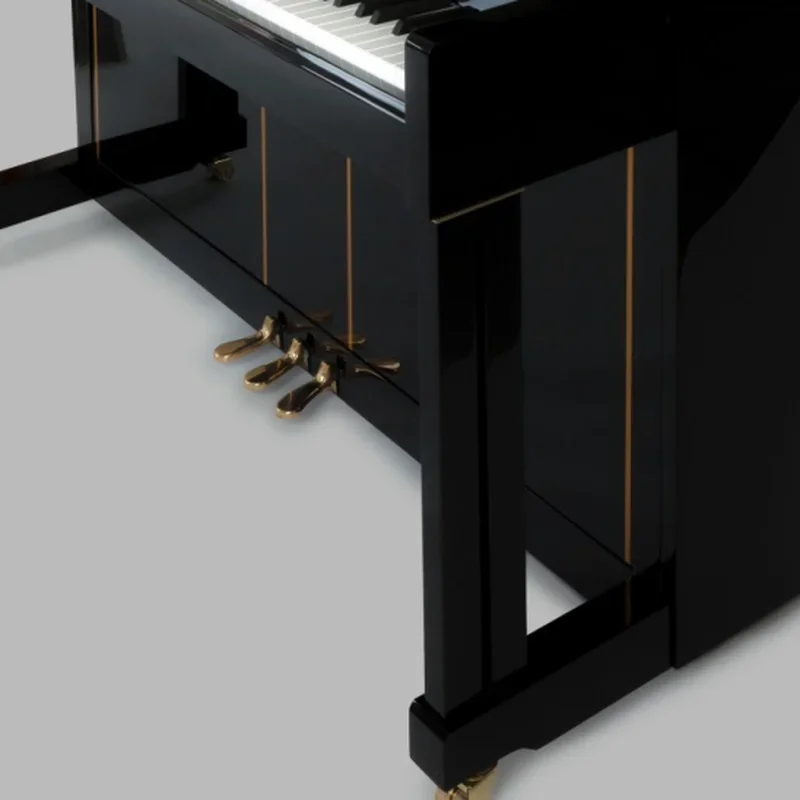 FEURICH 125 Design - Hình ảnh chính