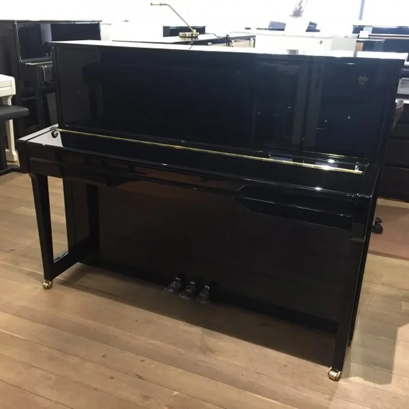 Fridolin Schimmel F116 Tradition (Ebony High Gloss) - Chi tiết 1