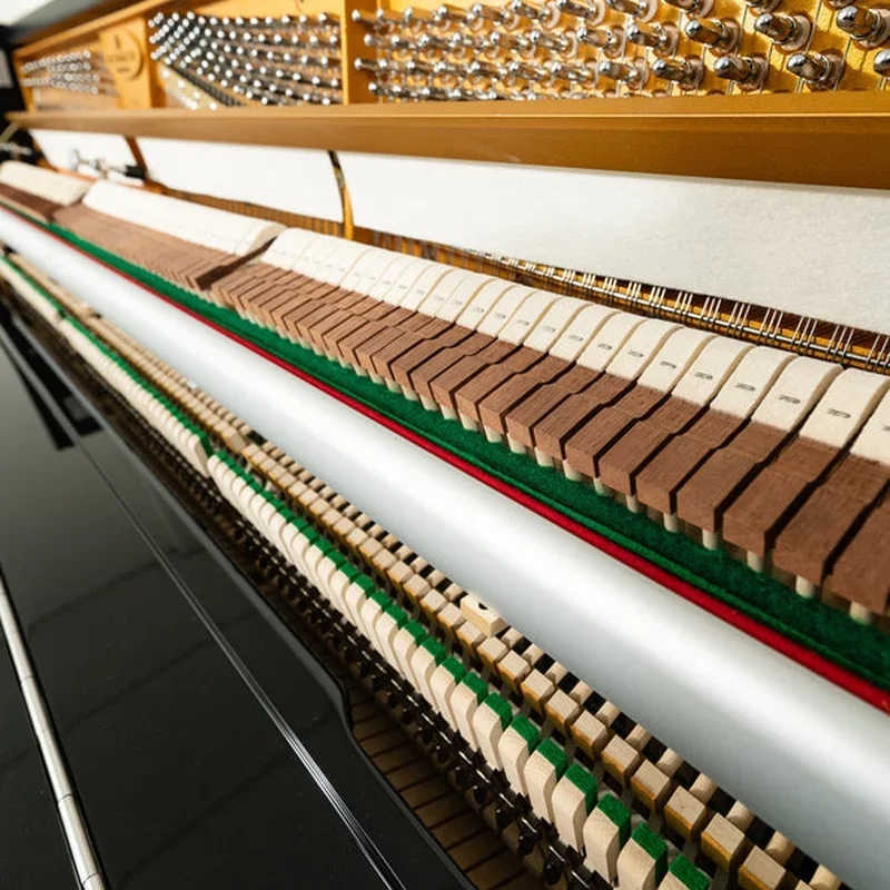 Fridolin Schimmel F123 Tradition (Ebony High Gloss) - Hình ảnh chính