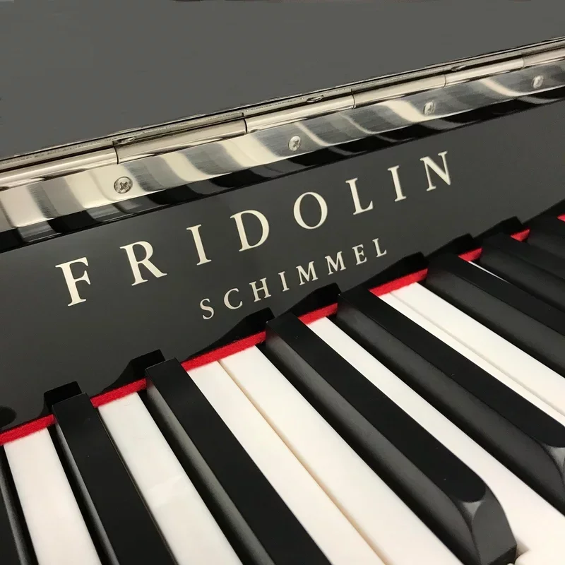 Fridolin Schimmel F130 Tradition (Ebony High Gloss) - Hình ảnh chính