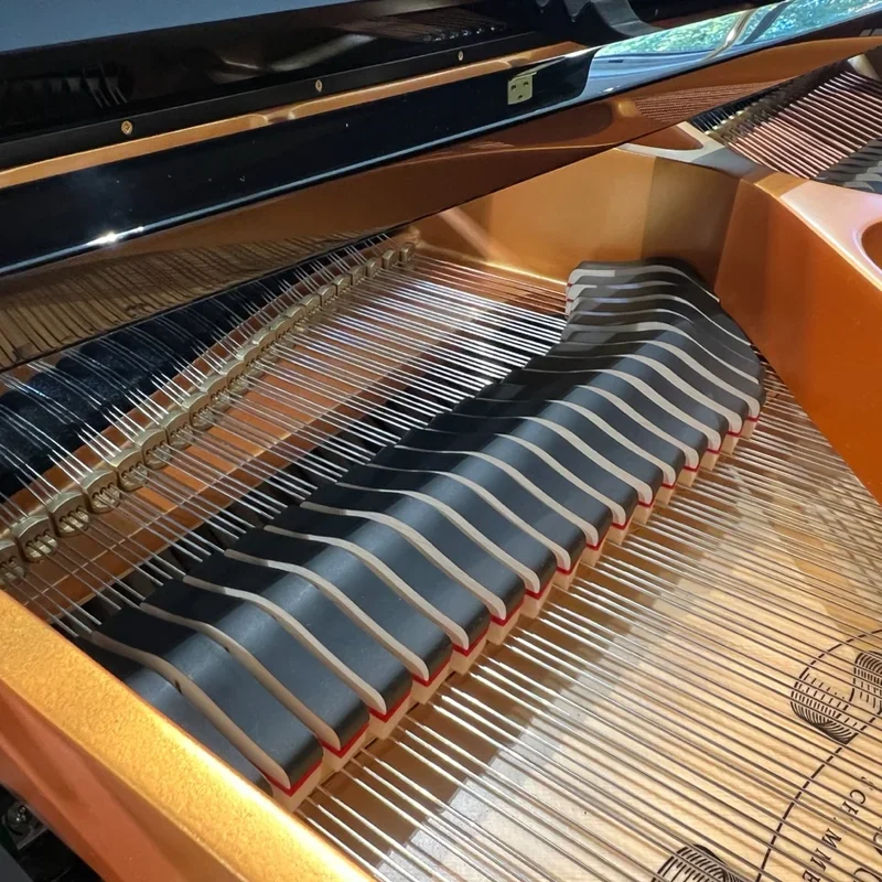 Fridolin Schimmel F156 Tradition (Ebony High Gloss) - Chi tiết 1
