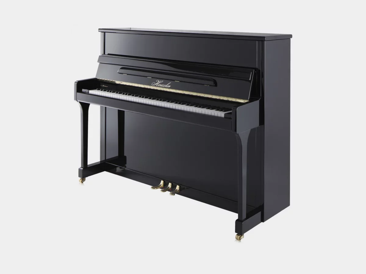 Haessler H118 (Designed by Blüthner) - Hình ảnh chính
