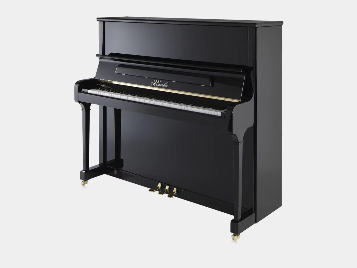 Haessler H132 (Designed by Blüthner) - Hình ảnh chính