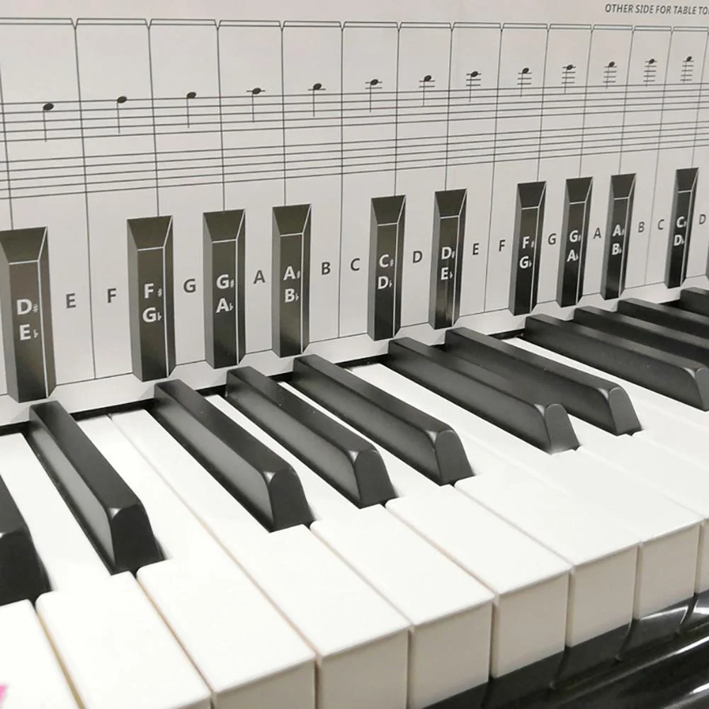 Huong Dan Hoc Piano: Tu Zero Den Hero - Lo Trinh Toan Dien - Hinh 2