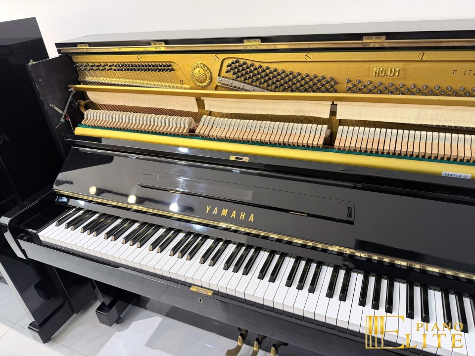 YAMAHA U1E - Hình ảnh chính
