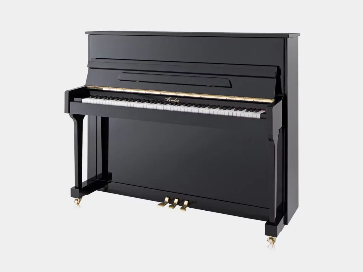 Irmler P118 Studio (Designed by Blüthner) - Hình ảnh chính