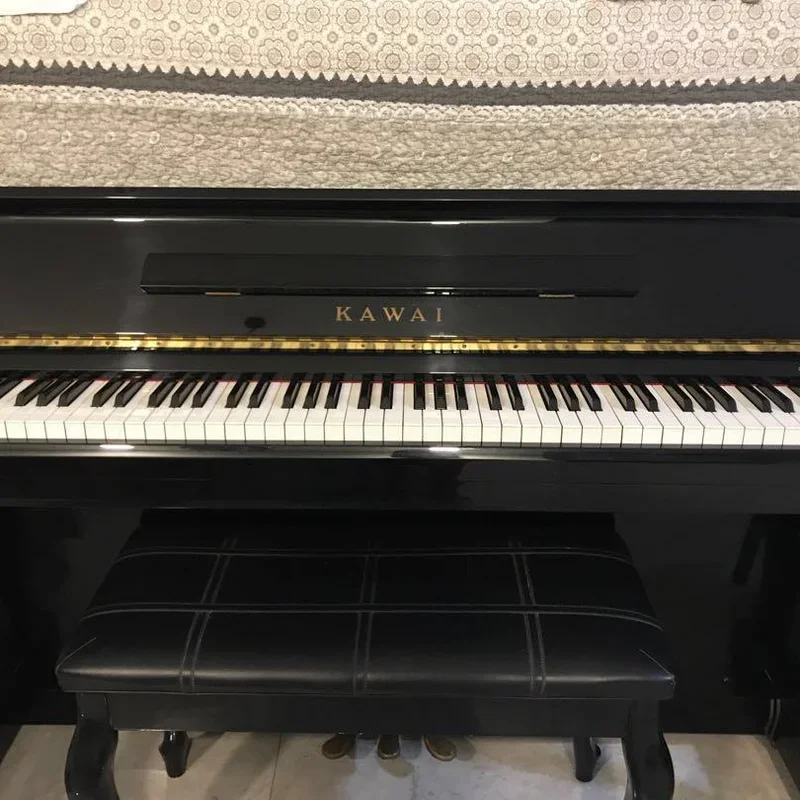 KAWAI DS-5E - Chi tiết 1
