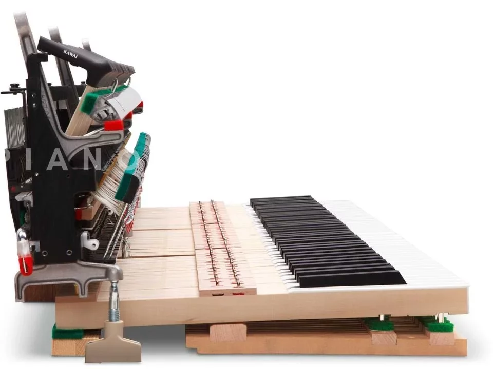KAWAI Novus NV6 - Hình ảnh chính