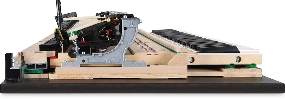 KAWAI NV10 Hybrid (USED) - Chi tiết 2