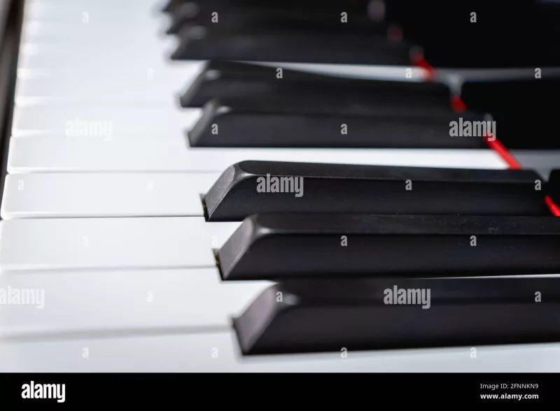 Cấu tạo piano