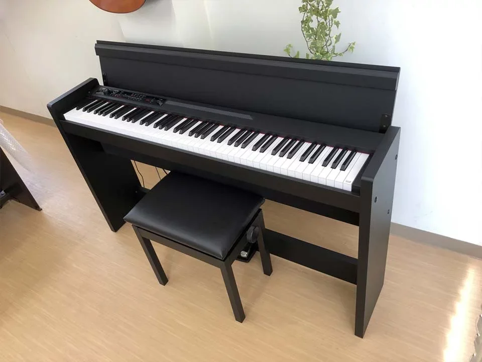 KORG LP-380U BK - Chi tiết 2
