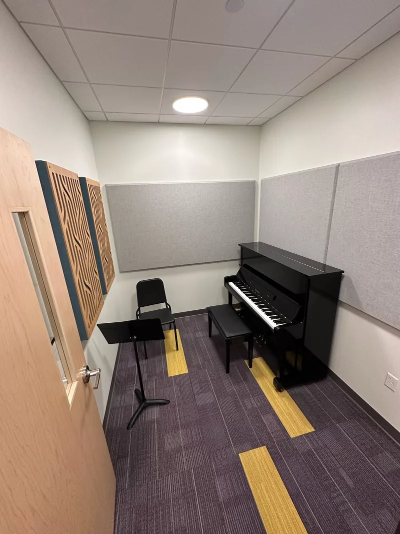 Luyện tập piano
