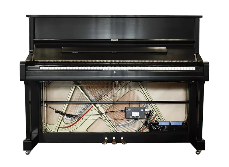 Phục hồi piano