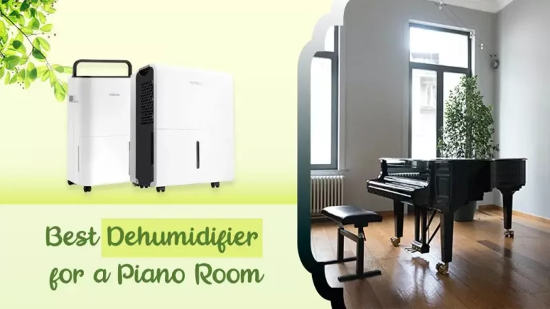 Phím Piano Không Nảy Lên": Từ Nghiên Cứu Nguyên Nhân Sâu Xa Đến Giải Pháp Triệt