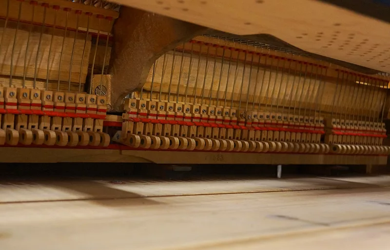 Bảo dưỡng piano