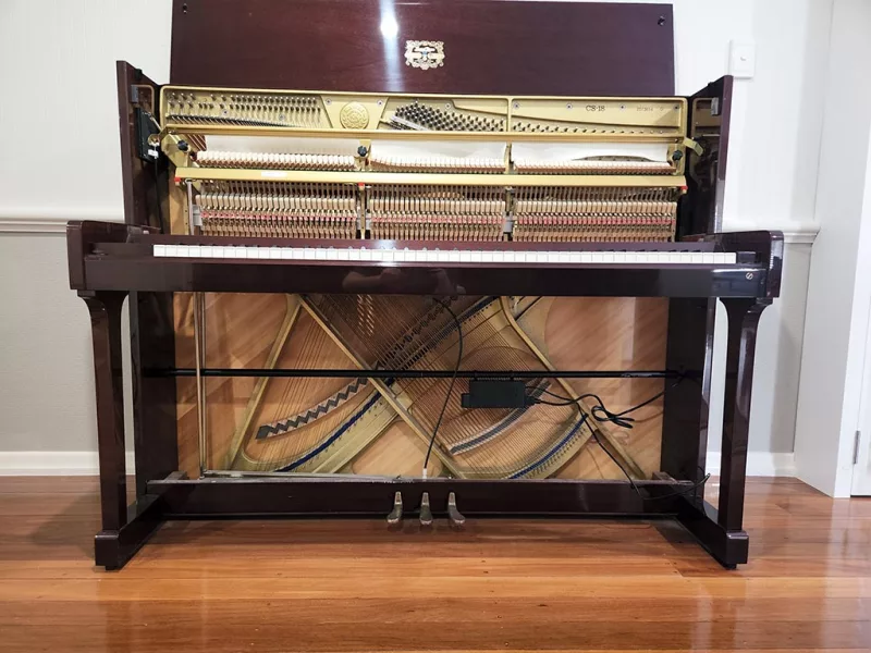 Vết xước trên thân piano: "Sẹo Thời Gian" hay "Nghệ Thuật Cổ Điển"? Hướng dẫn ph