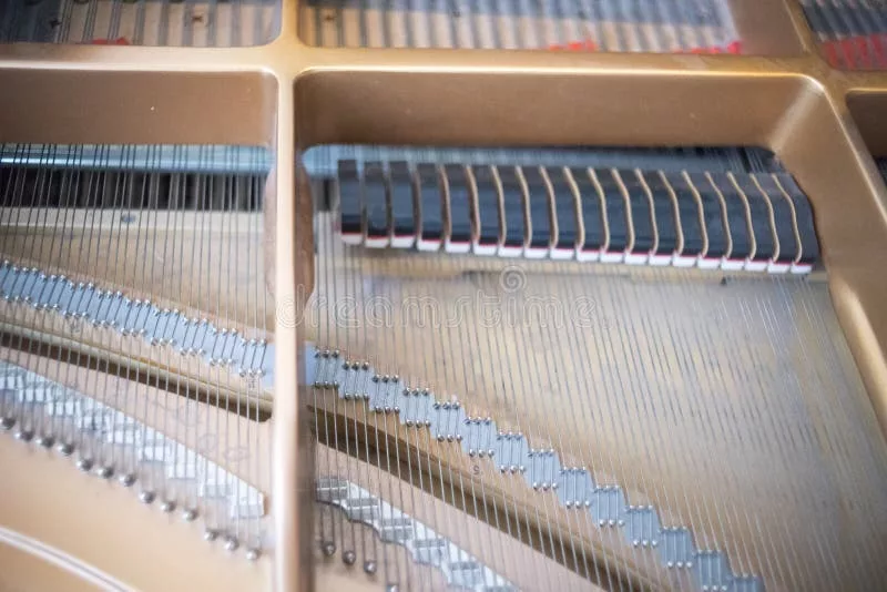 Phục hồi piano