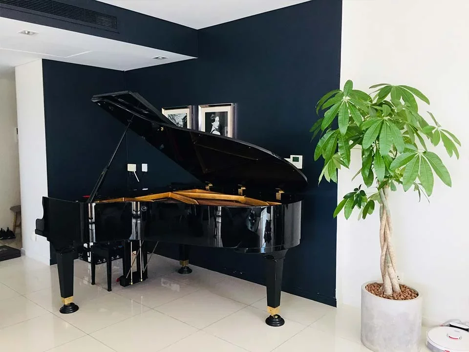 PIANO APOLLO A30 - Hình ảnh chính