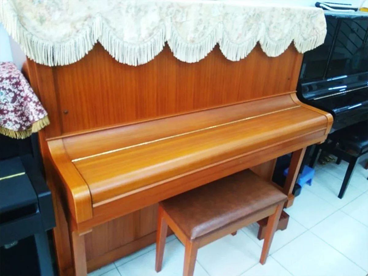 PIANO APOLLO A330 - Chi tiết 1