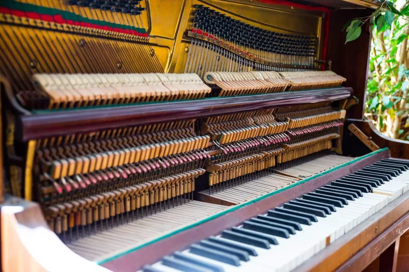 Bảo dưỡng piano