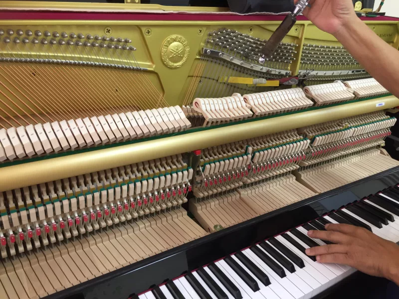 Bảo dưỡng piano